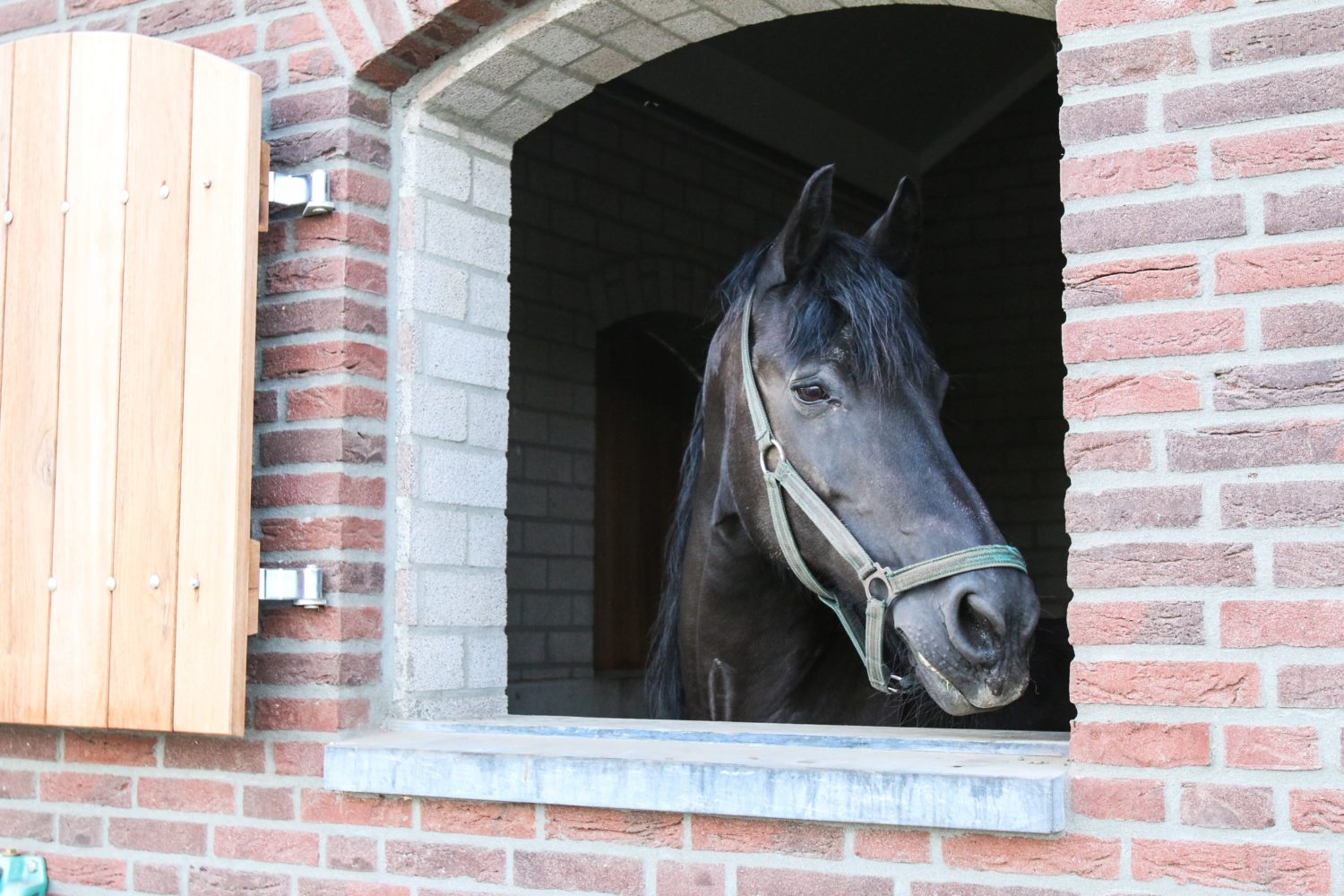 Nieuwbouw woonhuis en bijgebouw